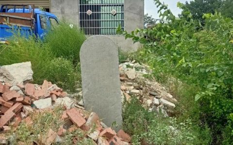 南阳农村发现一块清代的胡氏宗派碑，记载了胡姓的起源和辉煌历史